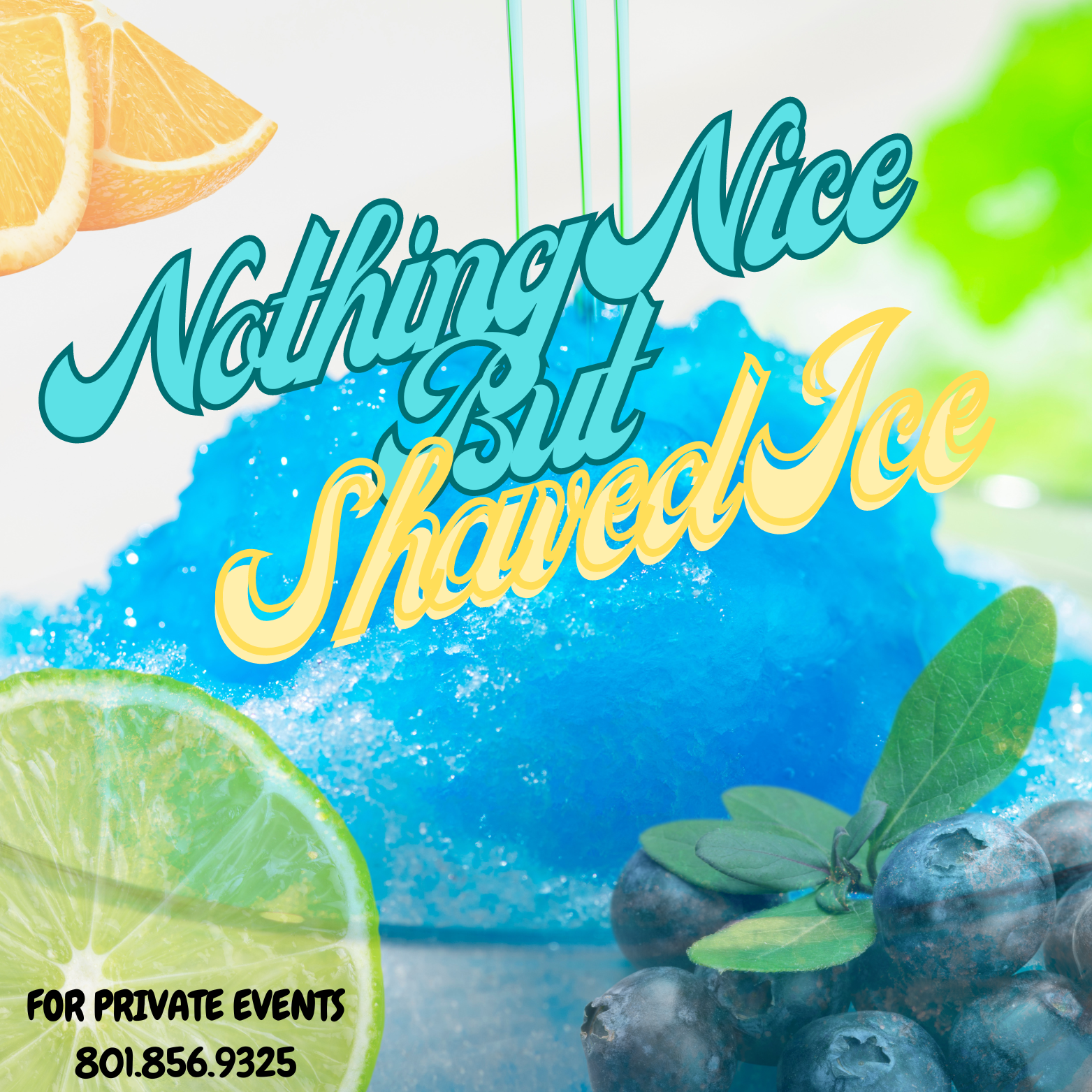 Shaved Ice Boozy Delights  Logo